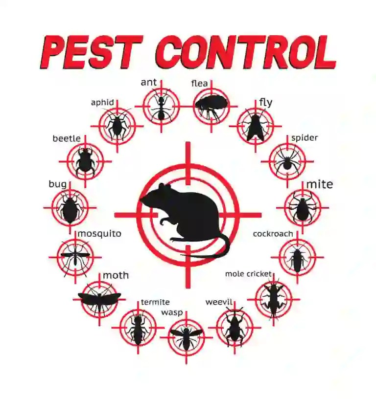 Pest Control Service